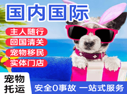 阿尔山伊尔施航空快运国际宠物托运 【国
